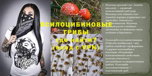 хмурый Балахна