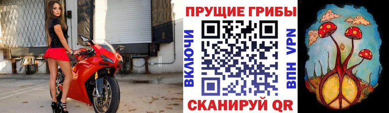 что такое наркотик  Лакинск  Галлюциногенные грибы GOLDEN TEACHER 